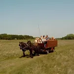 Stayokay