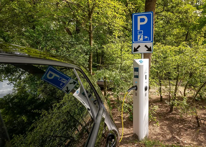 Stayokay Vandrarhem Noordwijk